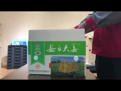 PPホールボードの野菜箱