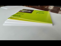 プラスチック製のホールボード