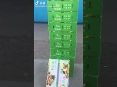 果物と野菜の箱