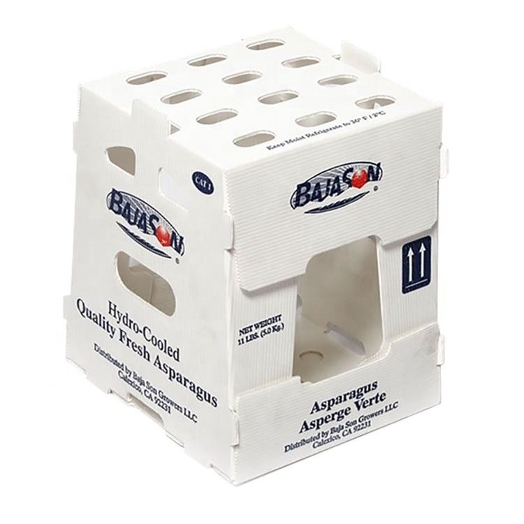 OEM工場は,新鮮な甘いトウモロコシ ブロッコリー バッグプラント ジンジャーボックスのためのPP プラスチックの波紋箱を生産