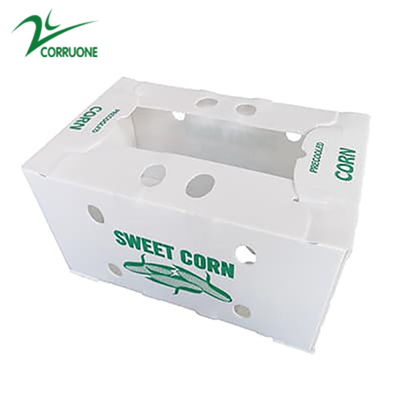 コレックス 果物箱 野菜と農業用 波紋型プラスチック箱