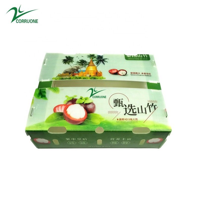 コレックス 果物箱 野菜と農業用 波紋型プラスチック箱