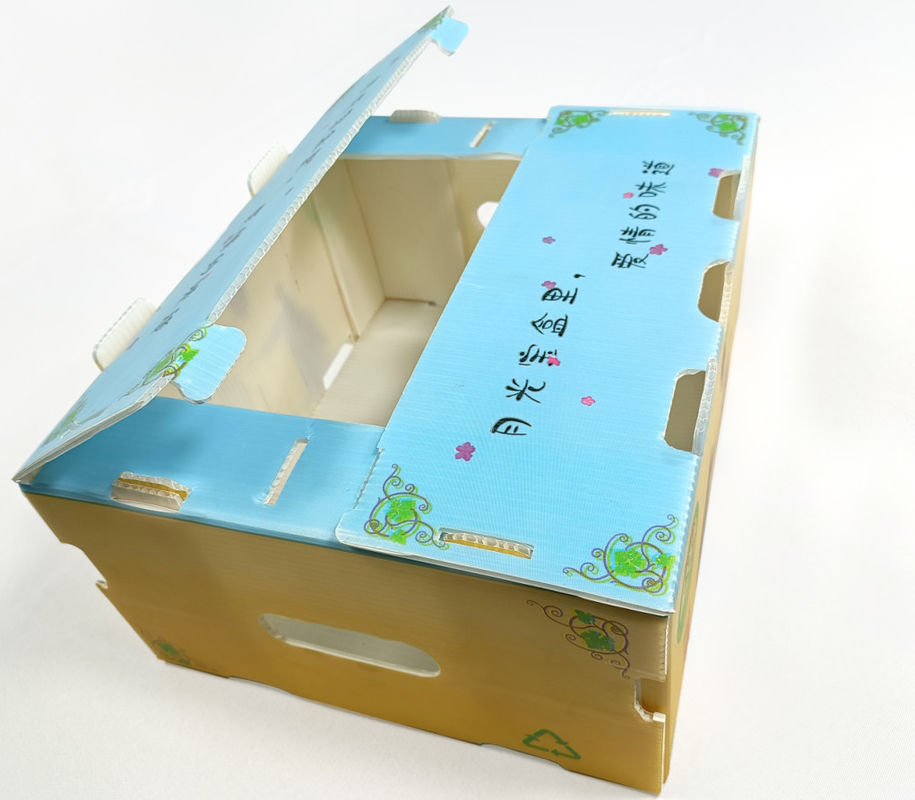 コルルーネ 防水 折りたたみ ポリプロピレン 波紋プラスチック 果物 野菜 アスパラガス/生?? /タロ/オクラ 梱包箱