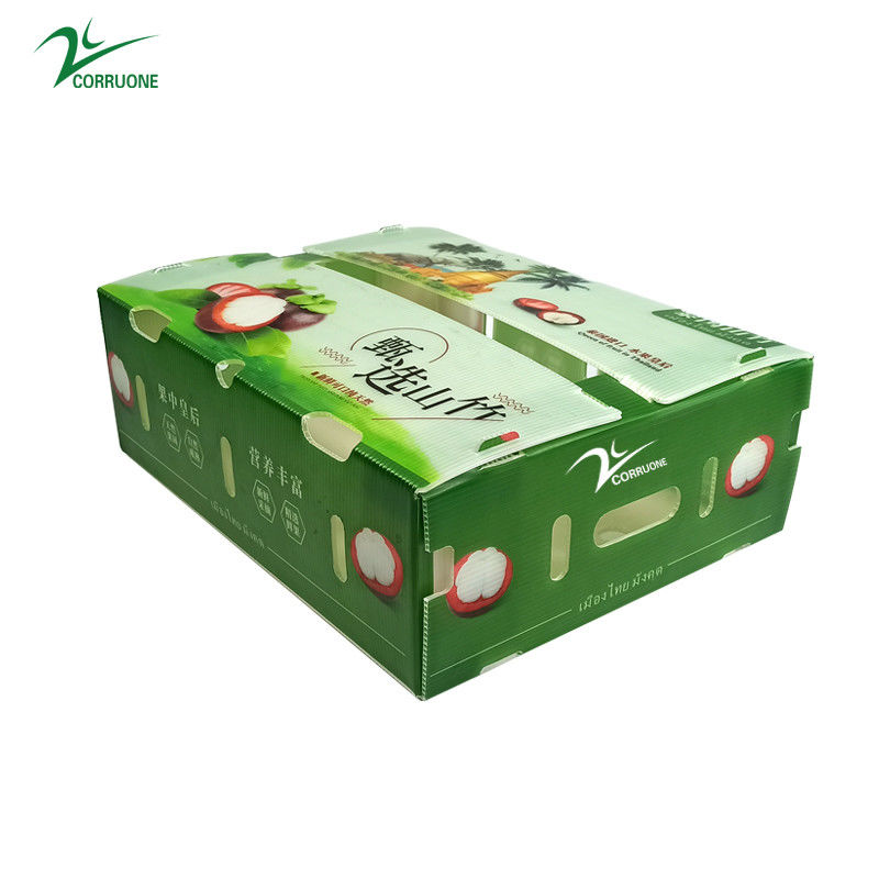 オーダーメイド 果物 野菜 梱包 波紋型 プラスチック 箱 波紋型 貯蔵 箱 PP 梱包