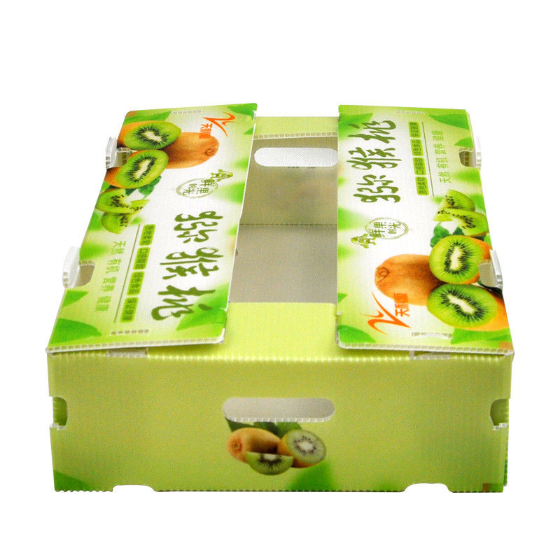 オーダーメイド 果物 野菜 梱包 波紋型 プラスチック 箱 波紋型 貯蔵 箱 PP 梱包