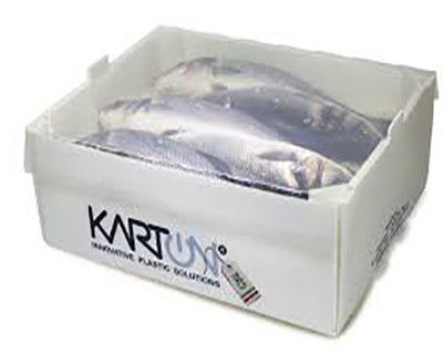 コルルーネ PPポリプロピレン 5 KG & 10 KG カスタム 防水 冷凍肉や海鮮のパッケージボックス