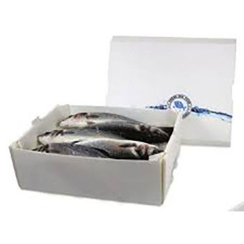 コルルーネ PPポリプロピレン 5 KG & 10 KG カスタム 防水 冷凍肉や海鮮のパッケージボックス