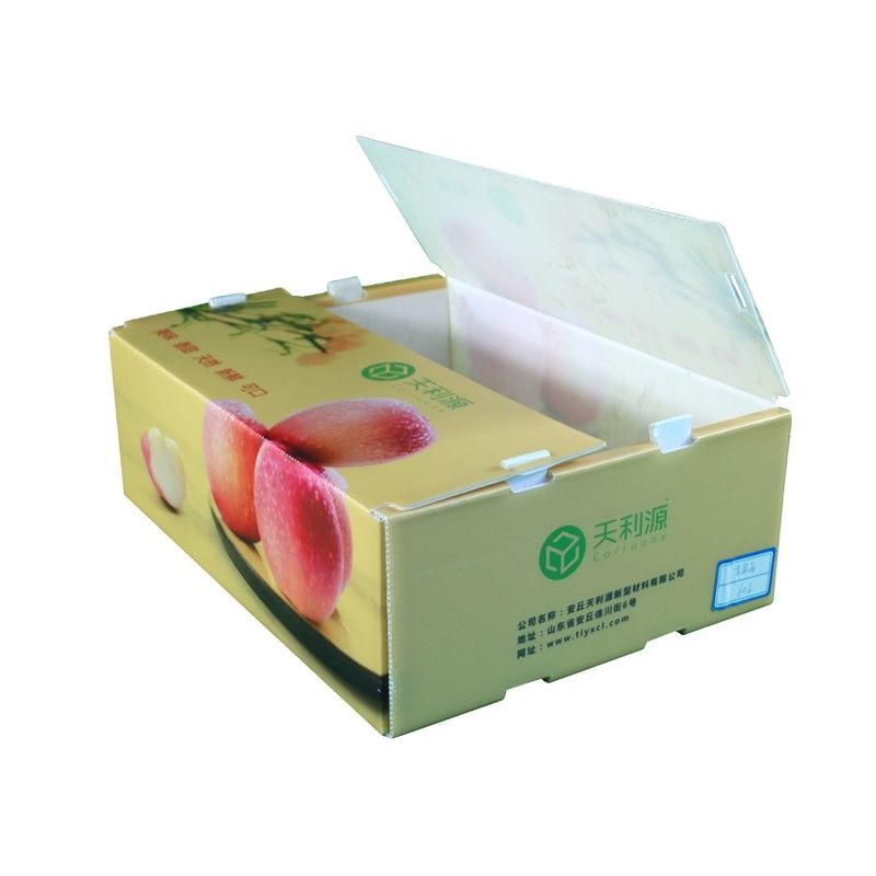 Twinwall PPフルーツ野菜のための波形箱の食品等級のコルフルートの容器