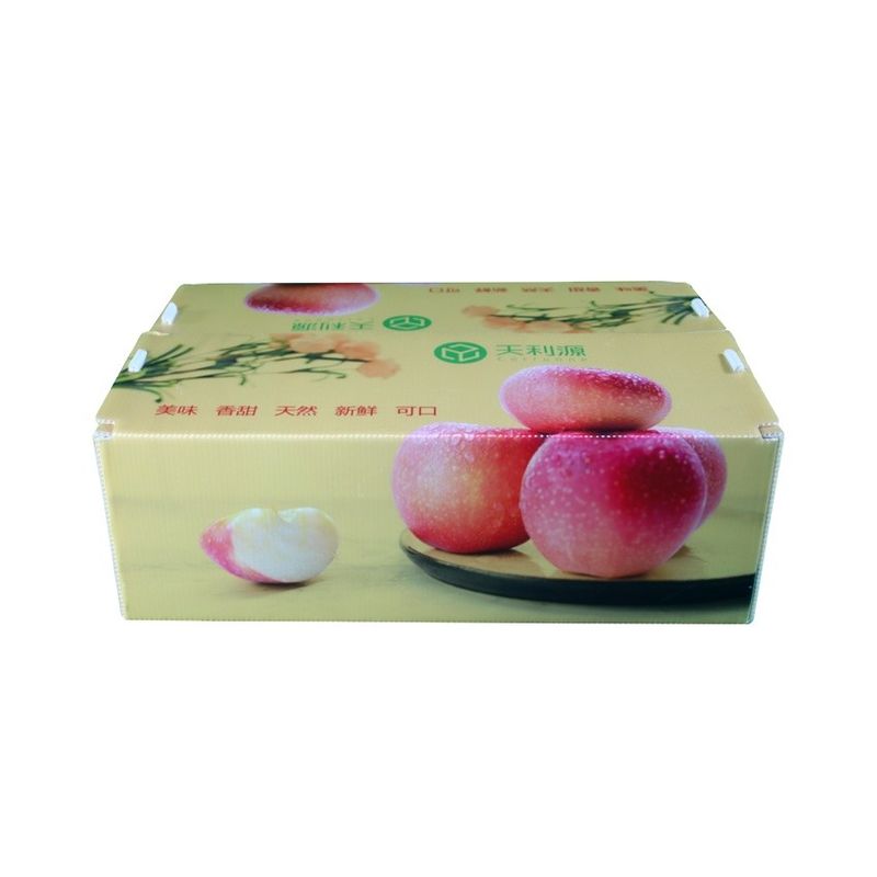 Twinwall PPフルーツ野菜のための波形箱の食品等級のコルフルートの容器