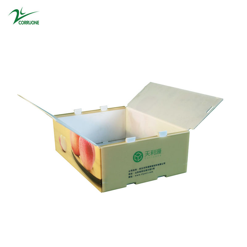 Twinwall PPフルーツ野菜のための波形箱の食品等級のコルフルートの容器