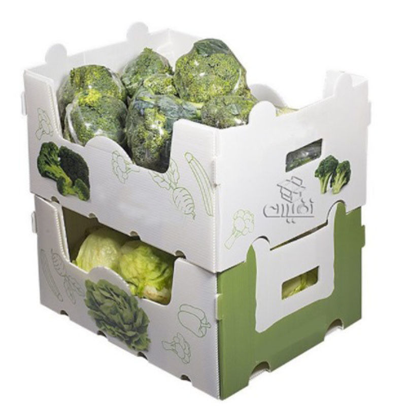 野菜と果物のためのPP波紋プラスチックボックス 玉米ブロッコリーと農業のパッケージボックス
