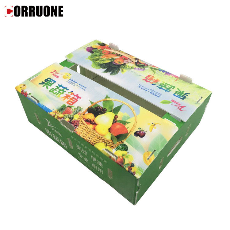 野菜と果物のためのPP波紋プラスチックボックス 玉米ブロッコリーと農業のパッケージボックス