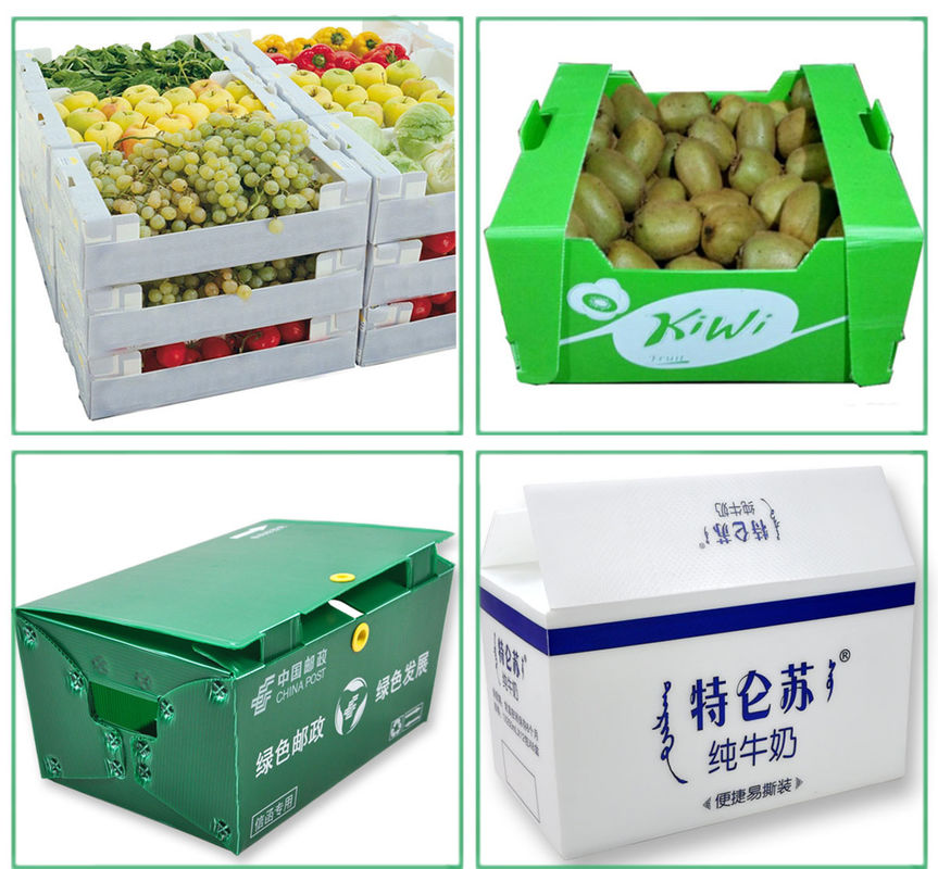 注文のコロプラストは赤唐辛子のための野菜波形箱を囲む