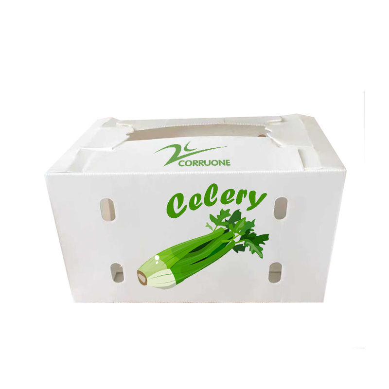 新品 2023年 低価格の果物・野菜用 波紋プラスチックボックス