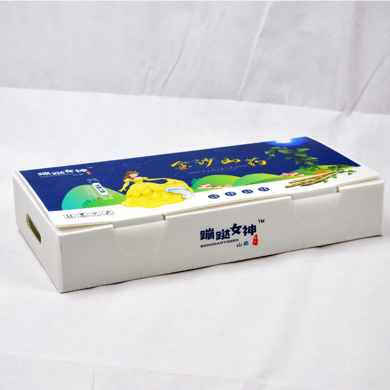 新品 2023年 低価格の果物・野菜用 波紋プラスチックボックス