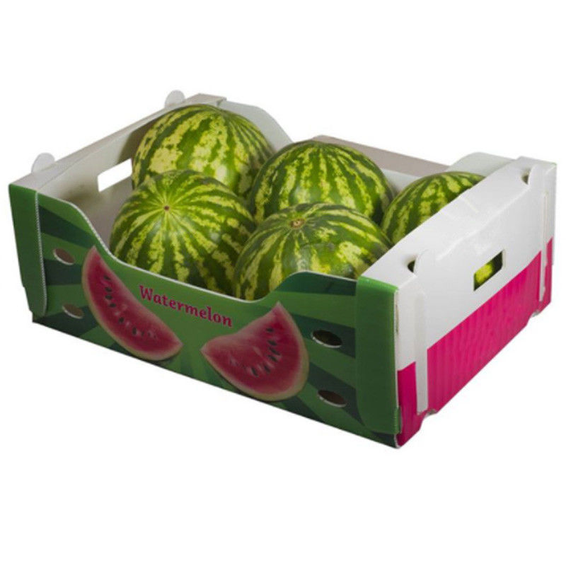 トウモロコシのコルフルート箱の野菜は箱の再生利用できる注文のサイズを波形を付けた