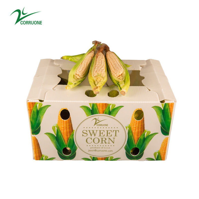 コルルーネ 防水 折りたたみ ポリプロピレン 波紋プラスチック 果物 野菜 アスパラガス/生?? /タロ/オクラ 梱包箱