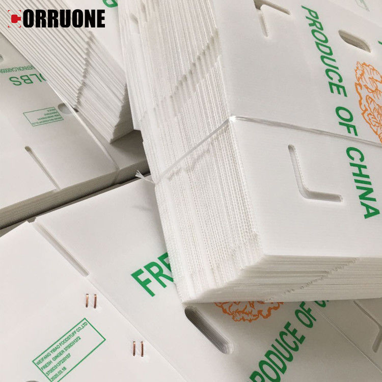 果物 野菜 パッケージ PP カートン プラスチックのブドウ パッケージ ボックス プラスチックのブロッコリー ボックス