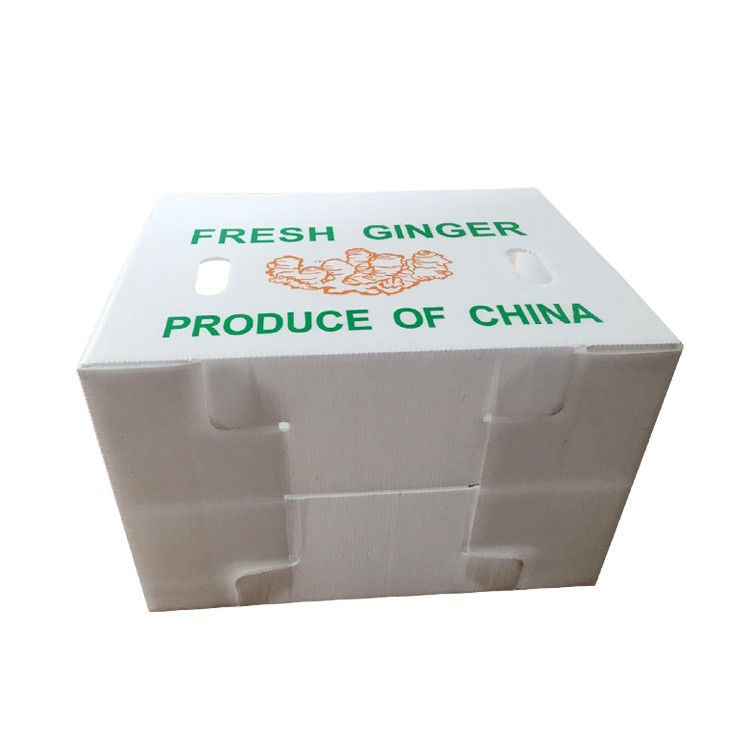 果物 野菜 パッケージ PP カートン プラスチックのブドウ パッケージ ボックス プラスチックのブロッコリー ボックス
