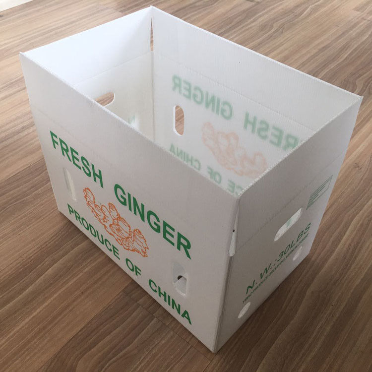 果物 野菜 パッケージ PP カートン プラスチックのブドウ パッケージ ボックス プラスチックのブロッコリー ボックス