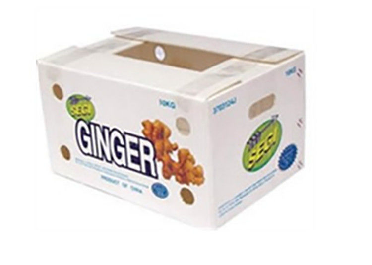 果物 野菜 パッケージ PP カートン プラスチックのブドウ パッケージ ボックス プラスチックのブロッコリー ボックス