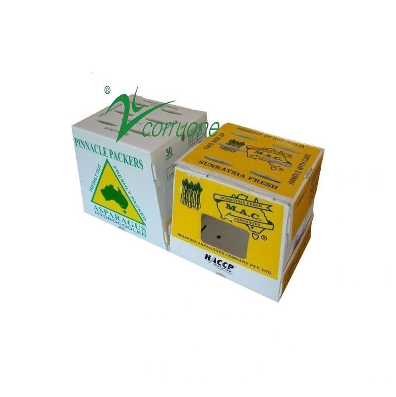 新鮮な野菜と果物 pp波紋プラスチックシートボックス