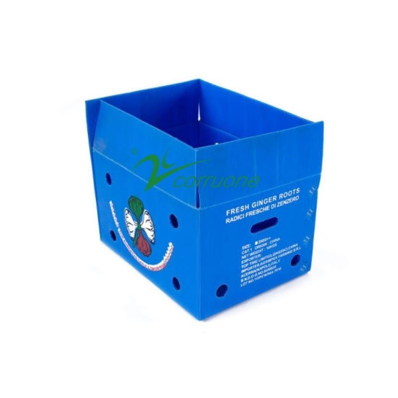 コルルーネ 防水 果物 野菜 梱包 PP カートン プラスチック ぶどう 梱包 箱 プラスチック ブロッコリー 箱 波紋 ジンジャー 箱
