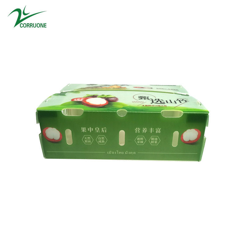 野菜と果物のためのPP波紋プラスチックボックス コルフルトコーレクス コーンブロッコリーと農業 梱包ボックス
