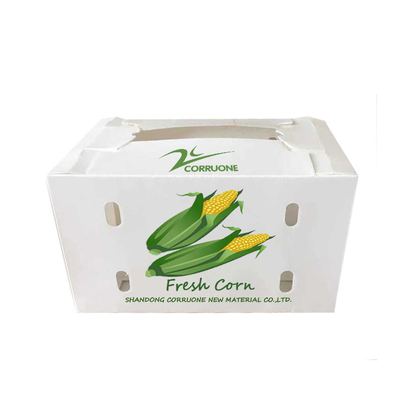 野菜 の 波紋 型 箱 で 保存 する