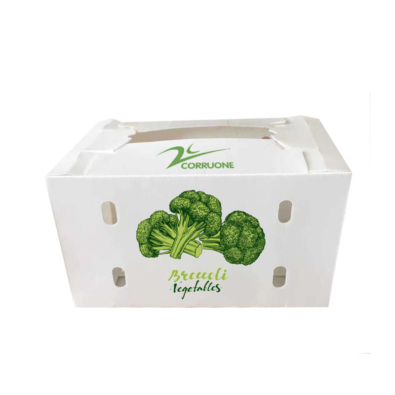野菜 の 波紋 型 箱 で 保存 する