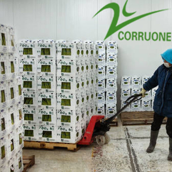 黒いCorrifluteは波形箱波形を付けたプラスチック貯蔵容器を実を結ぶ