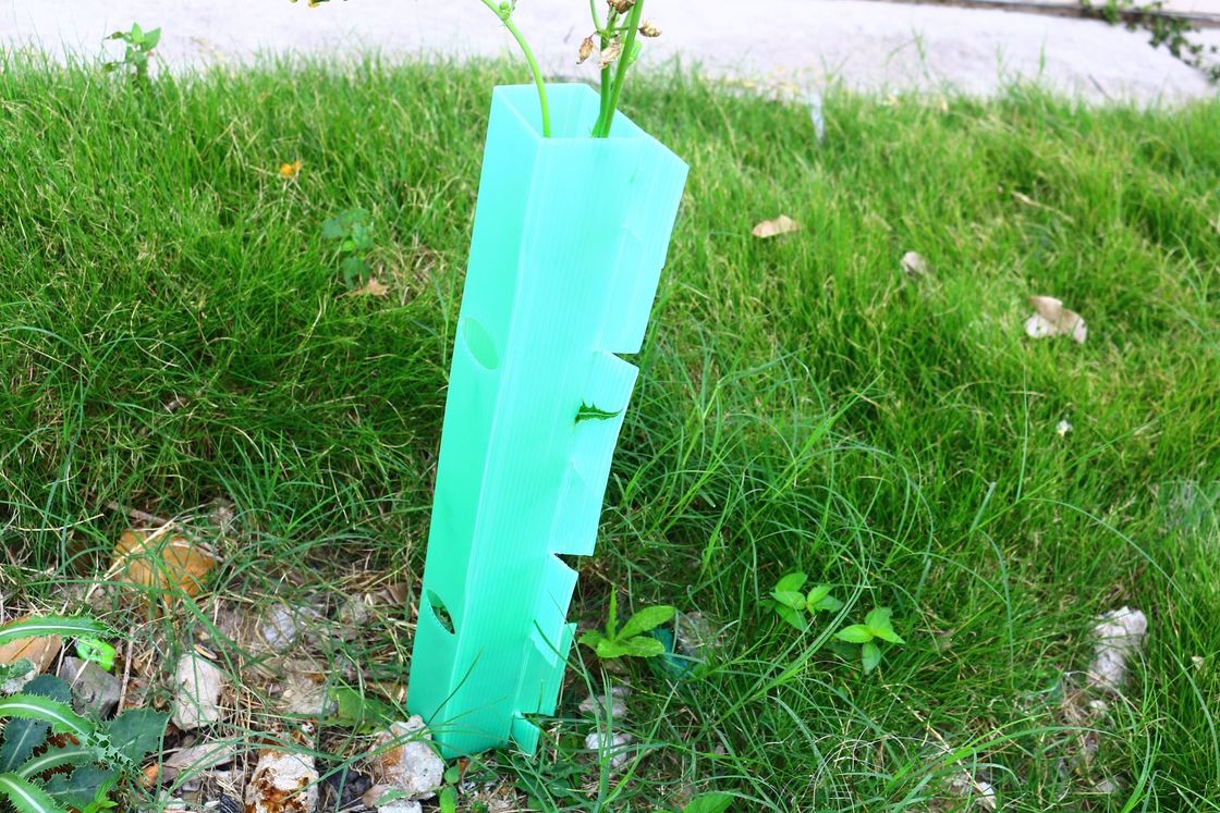 パーソナライズされたゴロゴロしたプラスチック製の保護用木材