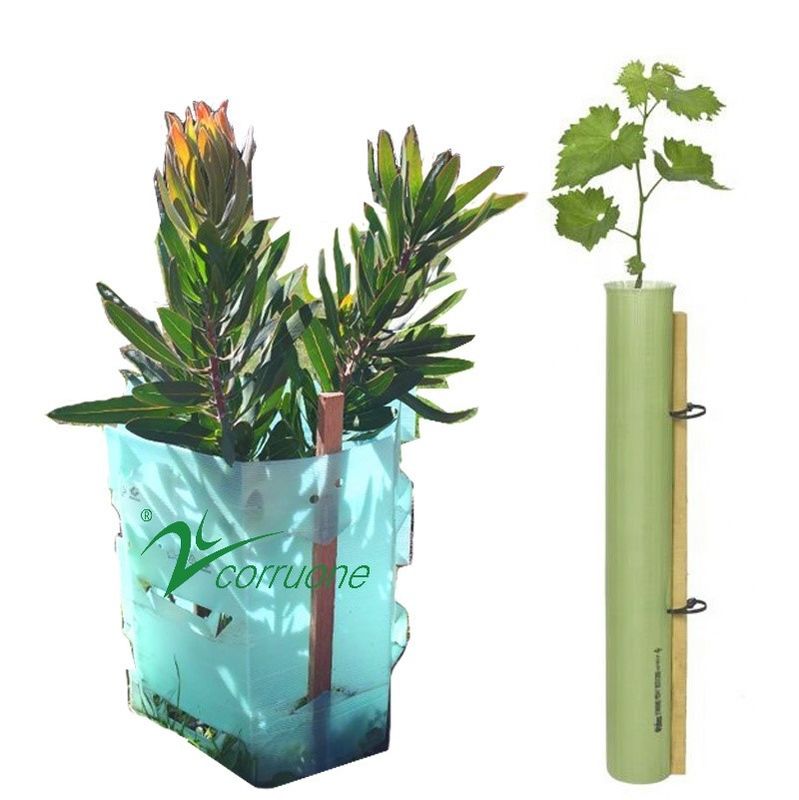 紫外線扱われた波形の木の監視3mm PP コルフルート植物の監視