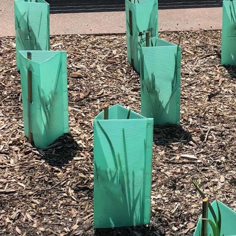 植物保護のためのカスタマイズされた色で,平面のゴロゴロされたプラスチック製の樹保護具