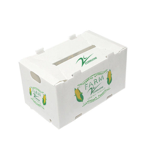 コルルーネ 防水 折りたたみ ポリプロピレン 波紋プラスチック 果物 野菜 アスパラガス/生?? /タロ/オクラ 梱包箱
