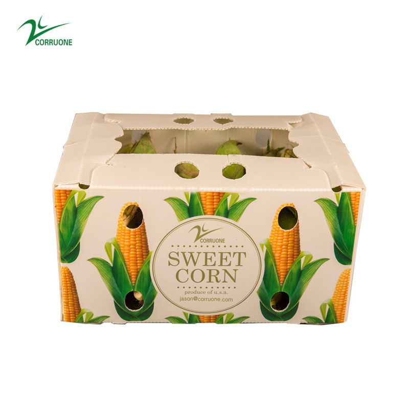 野菜,果物,農業用 プラスチック製の貯蔵箱