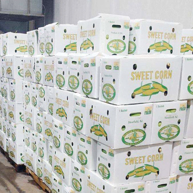 折りたたむ 熱売り製品 環境に優しい 耐久性のある保護シート プラスチック野菜と果物の箱